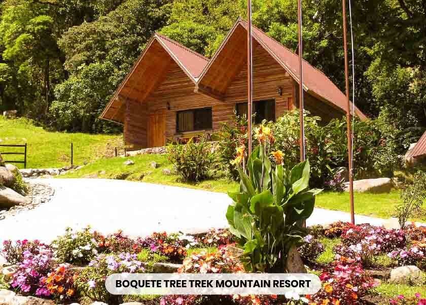 hotel boquete tree trek mountain resort